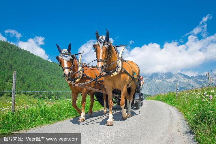 2021亚洲1卡二卡3卡四卡