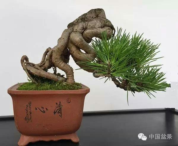 精品无人区麻豆乱码1区2区新区 无人因为乱码问题被控制住了