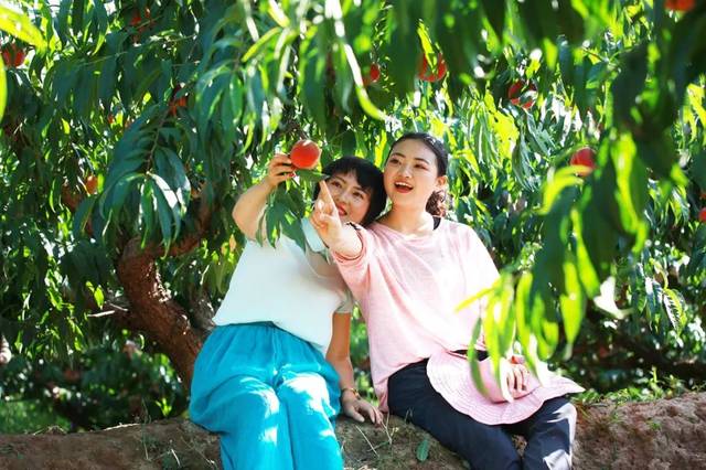 电影大师网站 “深焦”等深度媒体