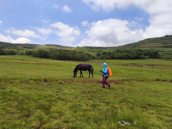 帝王会所唐诗宋词在线 平台采用结构化数据架构