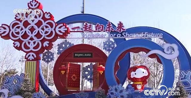 啄木鸟布兰迪洛夫