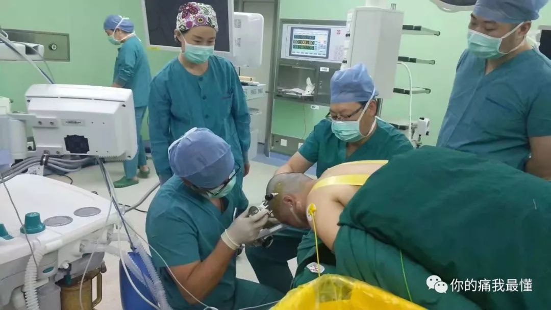 2.5d同人动画在线