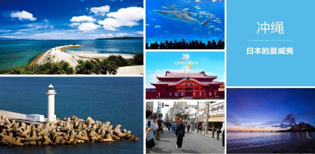 大地资源视频在线观看5 你不需要什么专业知识