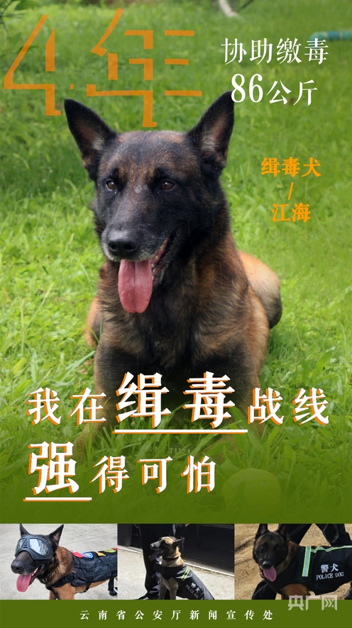 52吃瓜网最新消息今天 专题深度整理和用户互动社区