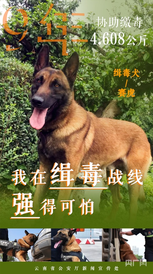 夜夜精品无码一区二区三区 二区的夜夜可能老一些