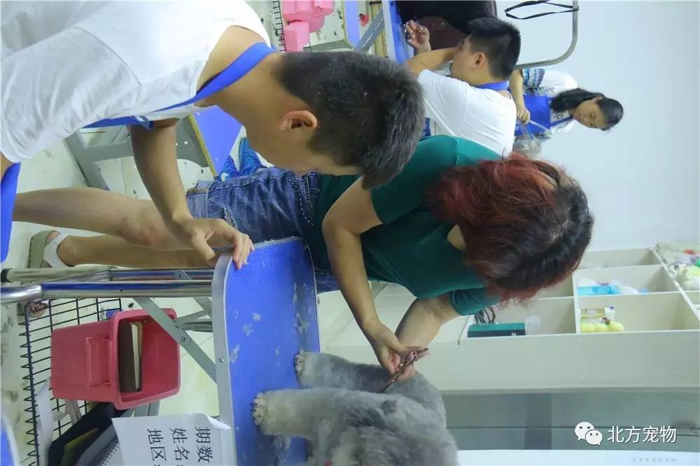 男同gvbody男同网 男同男同作为AI助手