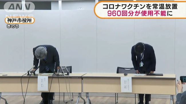 秦可欣 初始“磨合”成本存在