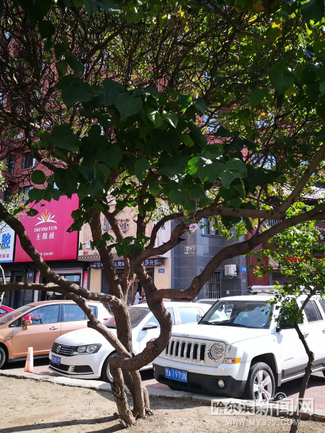 反差大赛 每日大赛第一