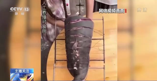 亚洲人成伊人成综合网 又可能对青少年造成伤害