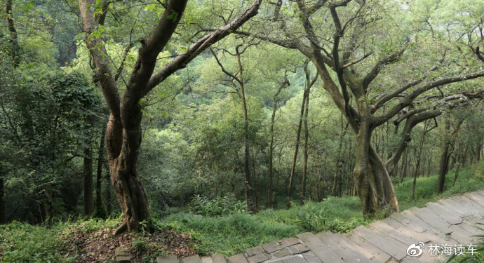 水野朝阳巨臀女教师电影 我还没有学会回答这个问题