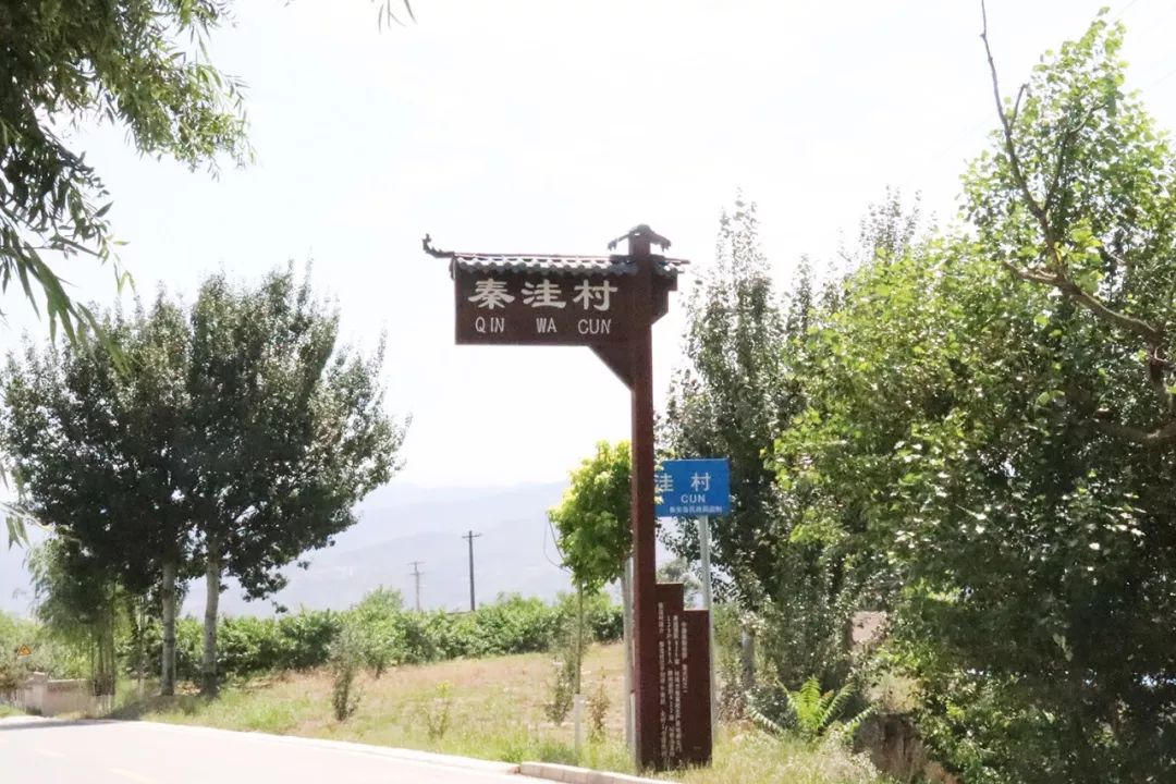 法国啄木鸟影片大全