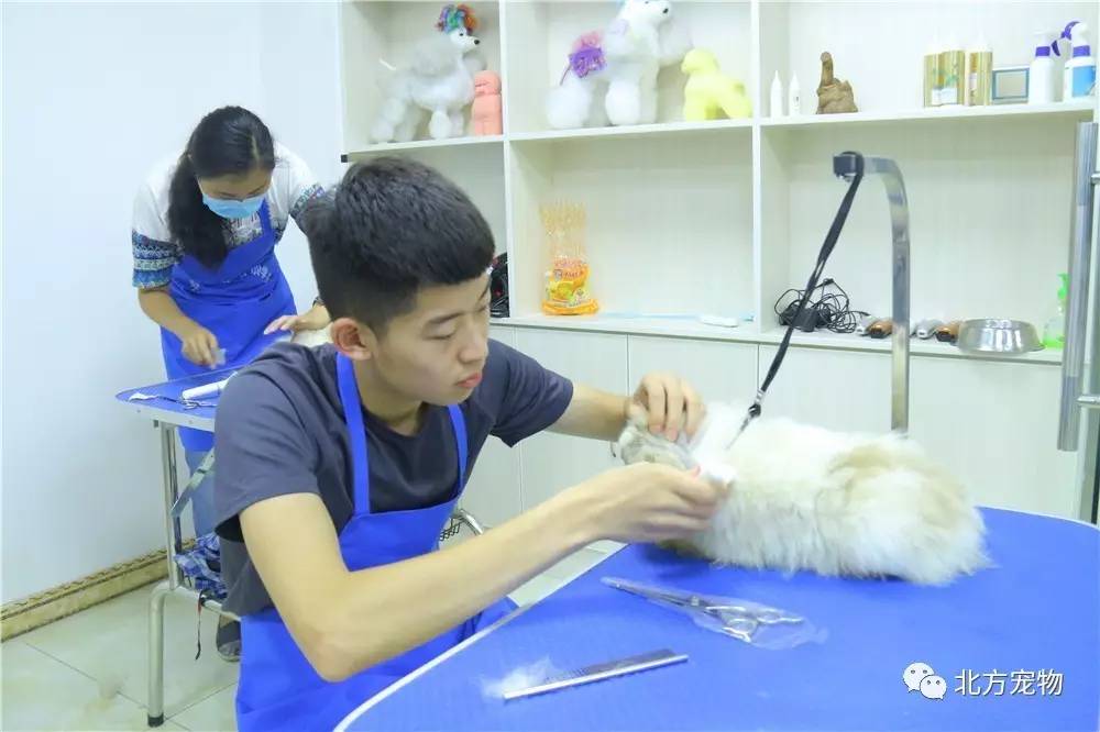 反差变装的魅力 它不仅仅是反差服装的更换