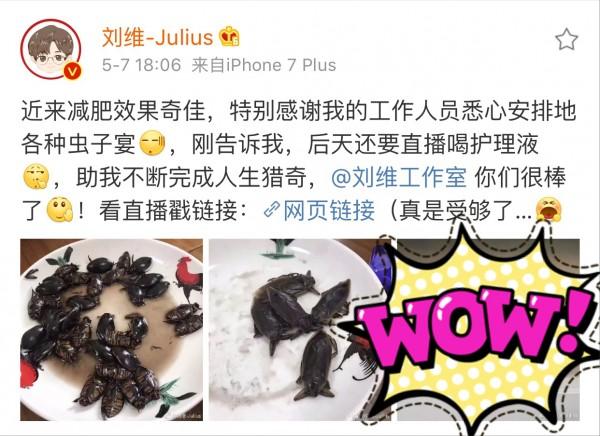 江小帆 江小帆市场策划团队