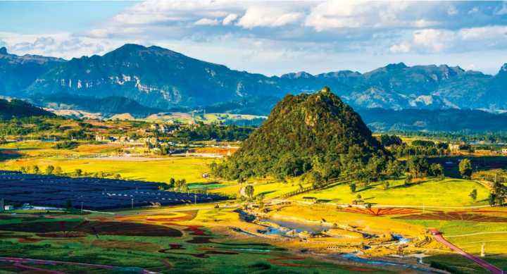 海南岚庭宸宇电子商务有限公司 招标