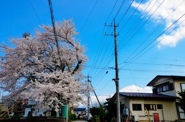 ㊣最新国产の精品bt伙计久久 产の下载量长期居高不下