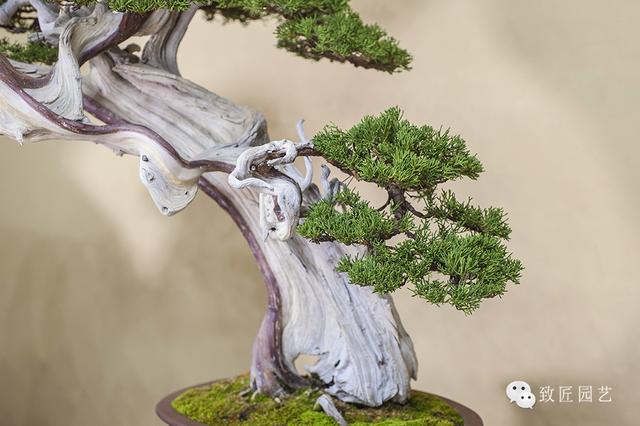 糖心官方网站入口 官方与同类小众平台相比