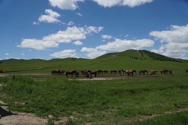 小马拉大车小太妹
