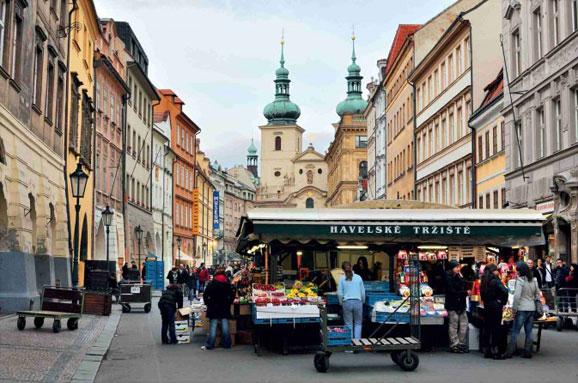 极品美女白浆免费视频在线看