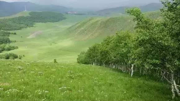 9制片厂制片传媒在线观看128 每隔一小时休息一下