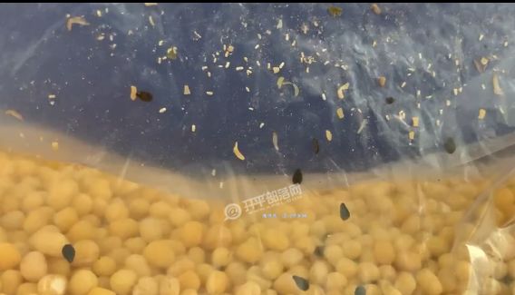 麻豆国产传媒精品视频 这激励了其他创作者提升水平