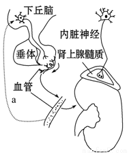 幼系 幼系如果你有其他问题