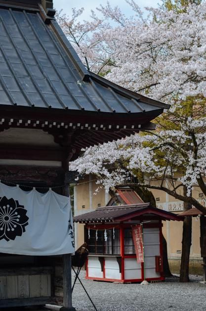 小马拉大车专区