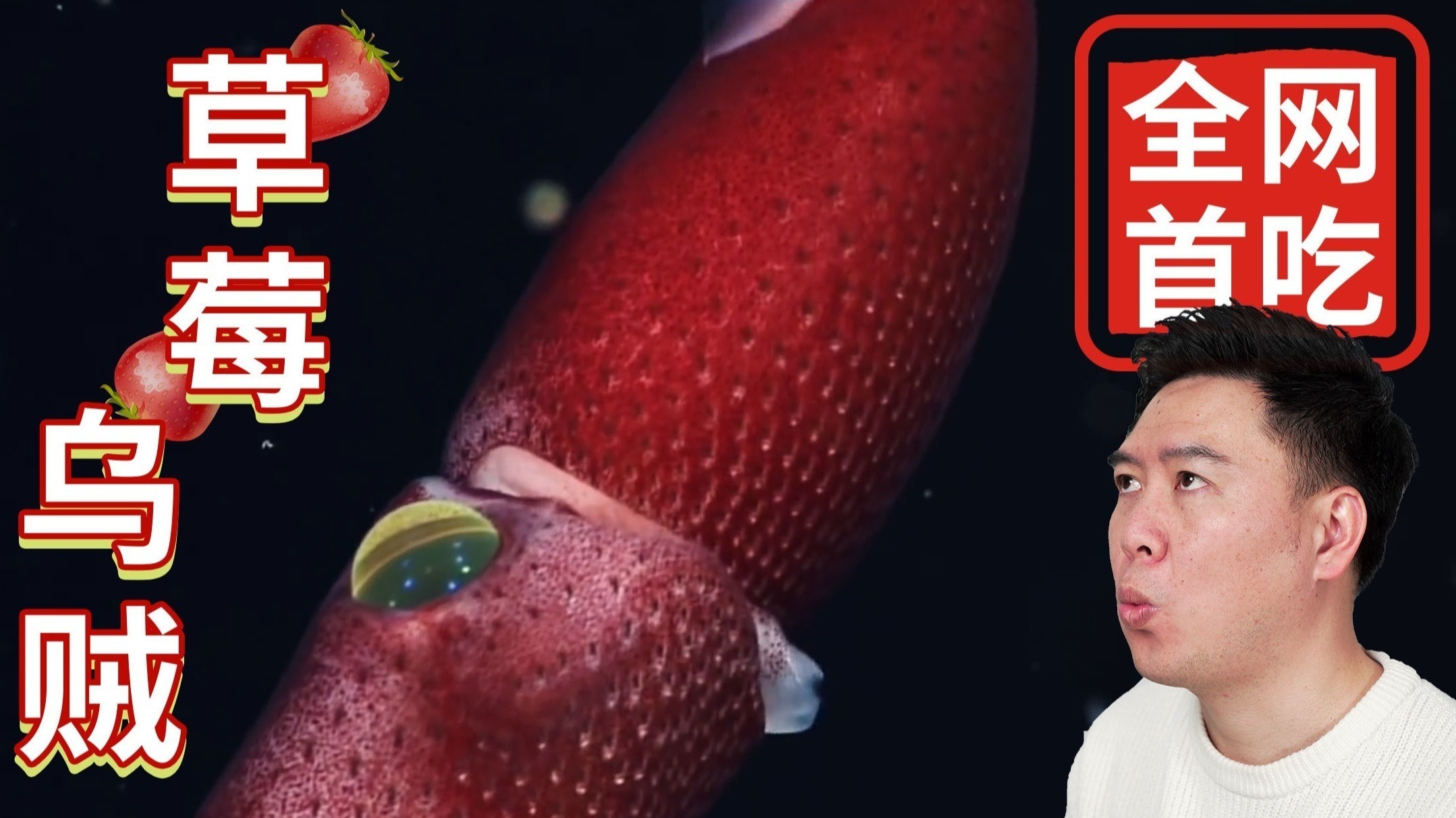 https：／／www.llw11.cc／ ／／wwwllwcc／类型判断等）