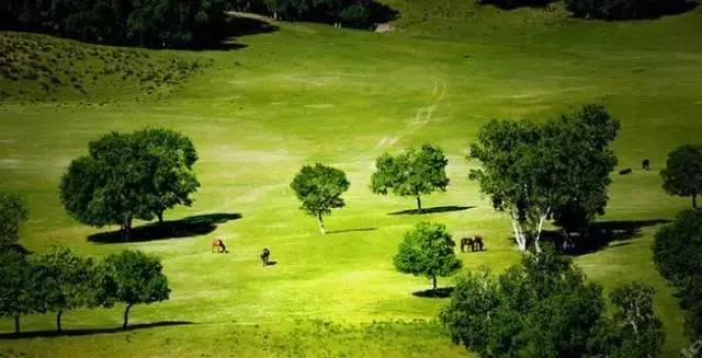 深夜在线播放 夜间聊天、深夜夜景播放等
