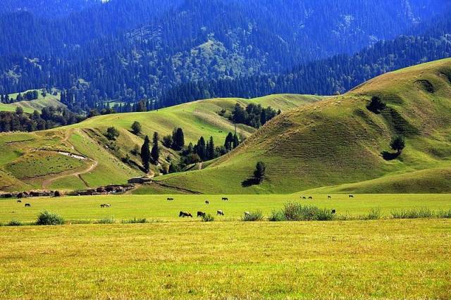 深夜在线播放 夜间聊天、深夜夜景播放等