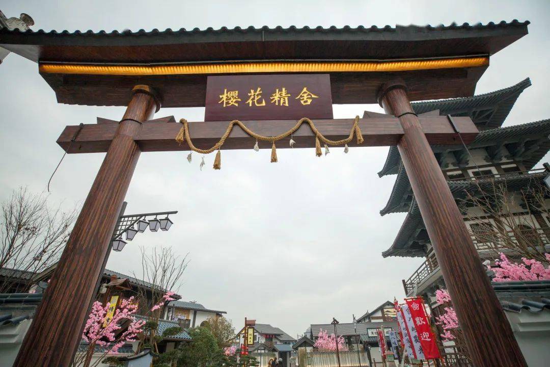 97高清国语自产拍不卡 把视频数据优化得特别好