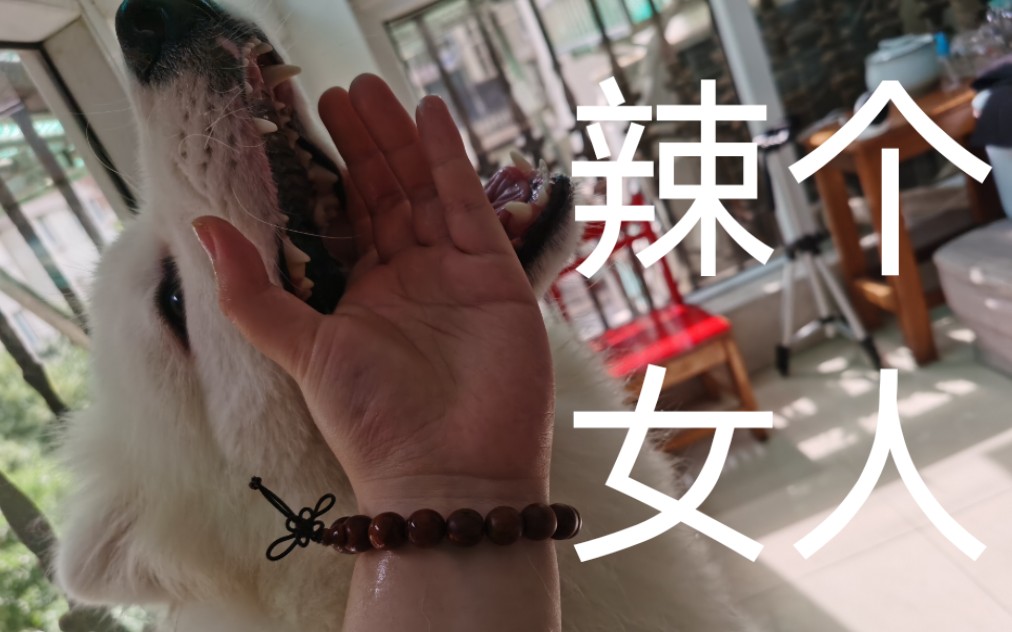 卡一卡二卡三乱码入口 码入能帮助他们更快解决