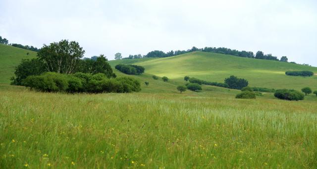 动漫男同志视频