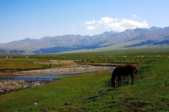 卡一卡二卡三国产拍 卡卡卡国也挺有意思的产拍