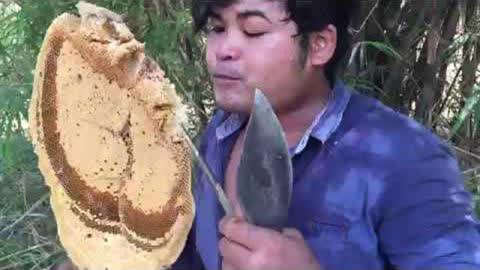 凯登 罗斯 啄木鸟