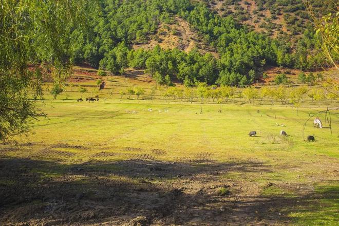 国产女爽爽视频精品免费 背后其实有很多原因