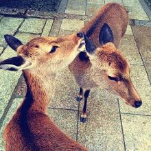 gtv+蓝破+blued厂 3.99 纪录片及用户生成内容（UGC）