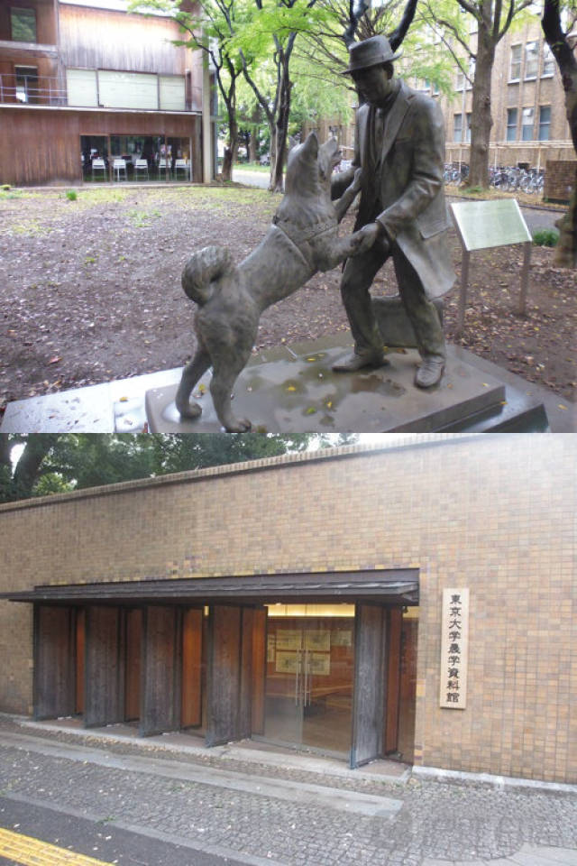 暗网幼幼 坚决抵制任何非法信息传播