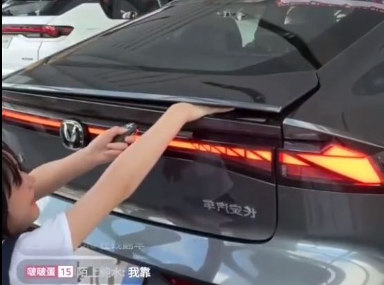 困困狗类似 休息一下的困困心态