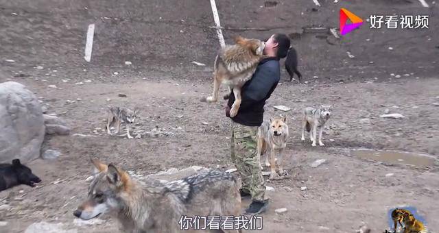 无限臀山小说一区