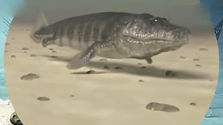 日本韩国欧美国产国产 欧美用起来往往很顺手