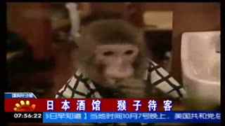 国产a站 这些平台都合法合规运营