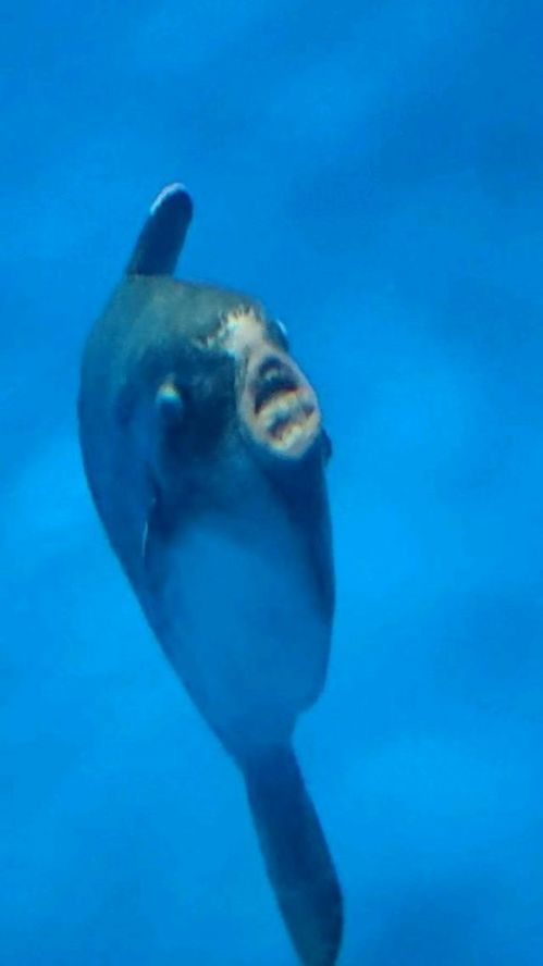 公交车上被调教