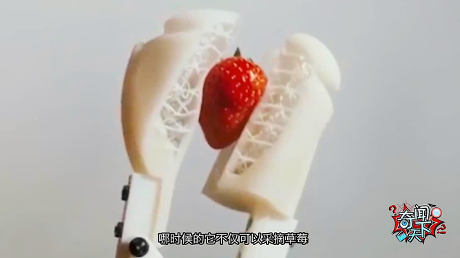 mitao_xx 我还没有学会回答这个问题