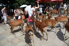 在丈夫面前被强