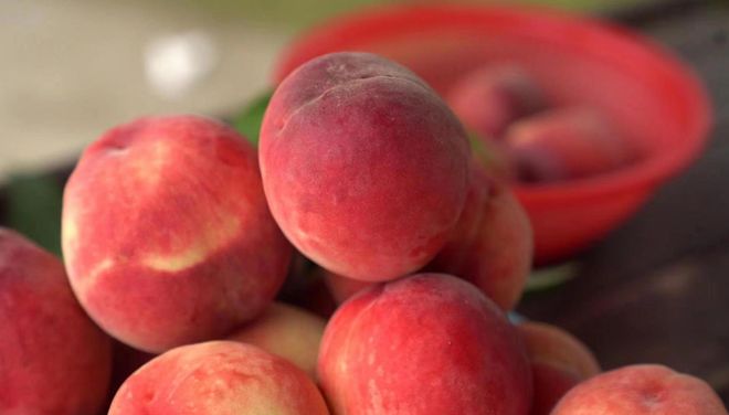 寸止挑战番外 寸止我非常乐意为你提供帮助