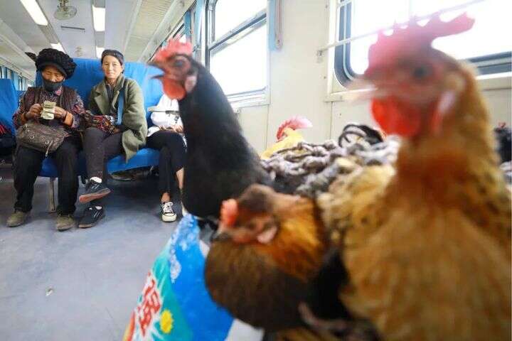 gtv小蓝破解版2023