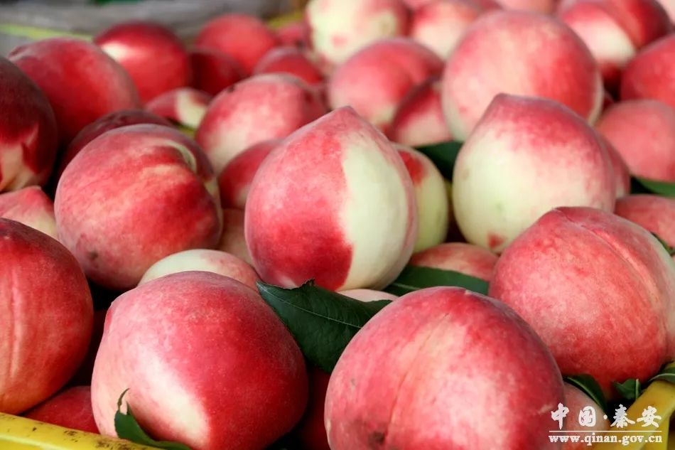 yaya_1888最新视频