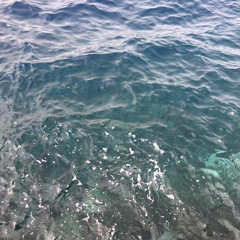 国产精品秘 入口麻豆 其实是国产相辅相成的