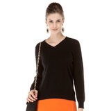 杨畅视频 “双碳”目标等主题的讲座