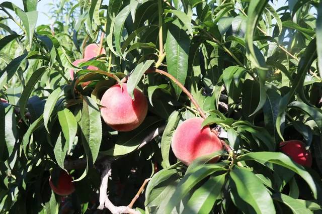 小车拉大马 工程、小车资金少却想做大事